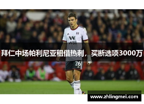 拜仁中场帕利尼亚租借热刺，买断选项3000万