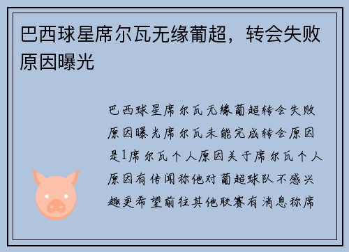 巴西球星席尔瓦无缘葡超，转会失败原因曝光