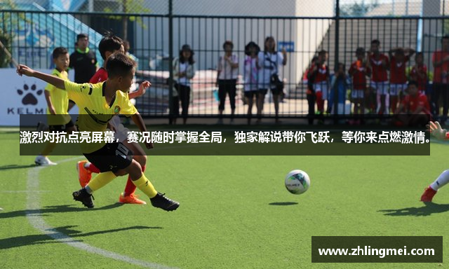 星空平台下载链接