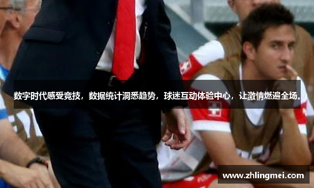 星空软件是干嘛的软件下载